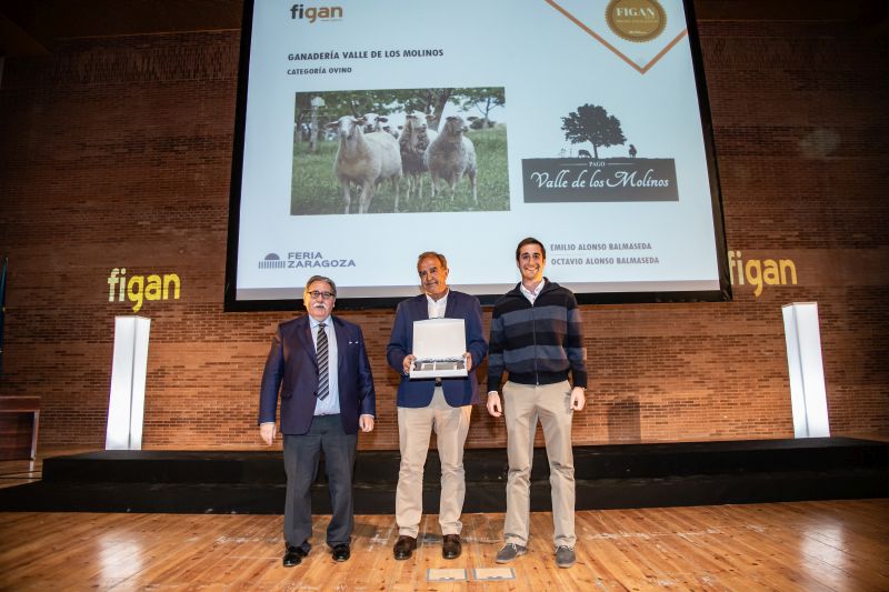 entrega premio excelencia - figan-2019-valle-de-los-molinos-1